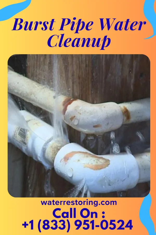 Burst Pipe Water Cleanup in Barstow, WA