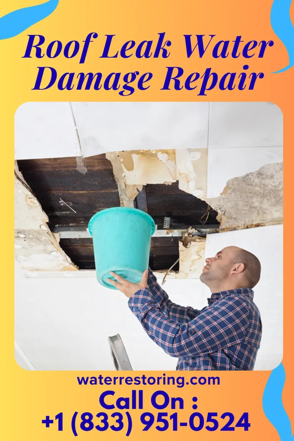 Roof Leak Water Damage Repair in Barstow, WA