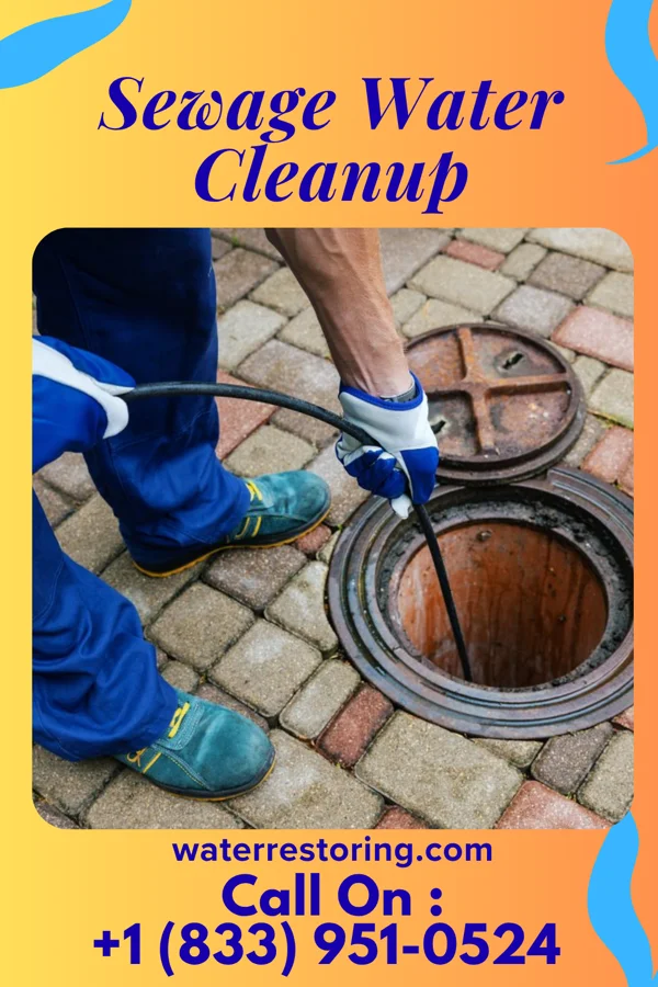 Sewage Water Cleanup in Barstow, WA