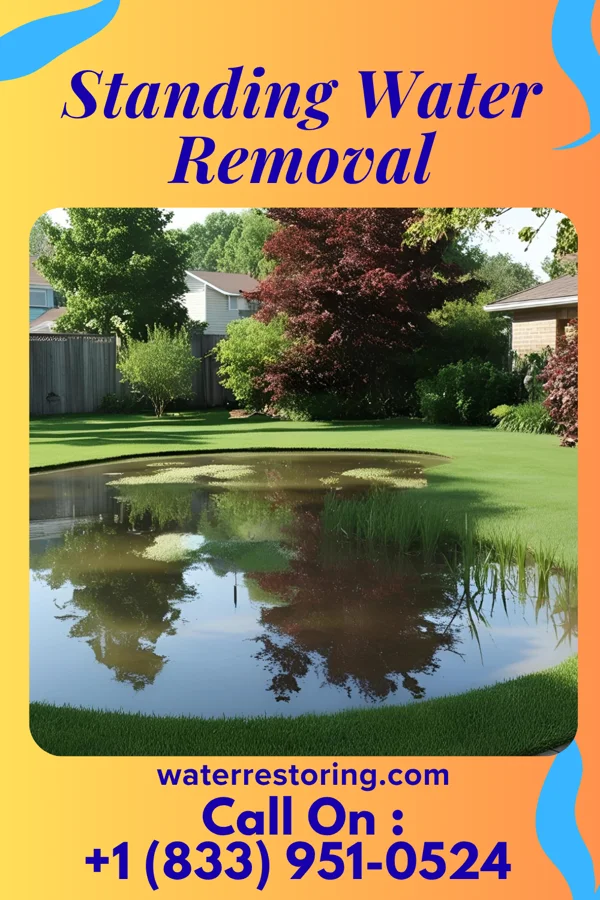 Standing Water Removal in Barstow, WA